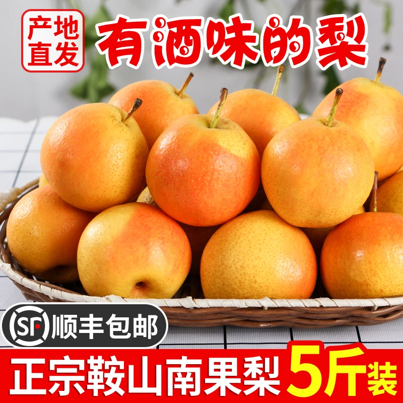 鞍山南果梨新鲜南国梨水果东北特产酒香海城软糯香水梨整箱包邮