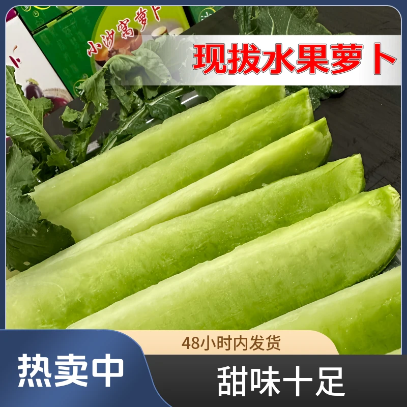 沙窝水果萝卜脆甜如梨汁水十足自家农场产种植现拔黄皮萝卜5斤起