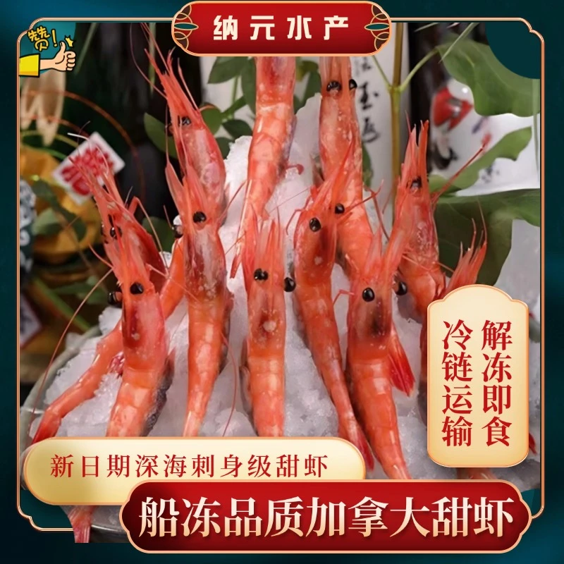 新鲜船冻刺身甜虾北极甜虾寿司日料同款【俄罗斯】【加拿大】解冻即食