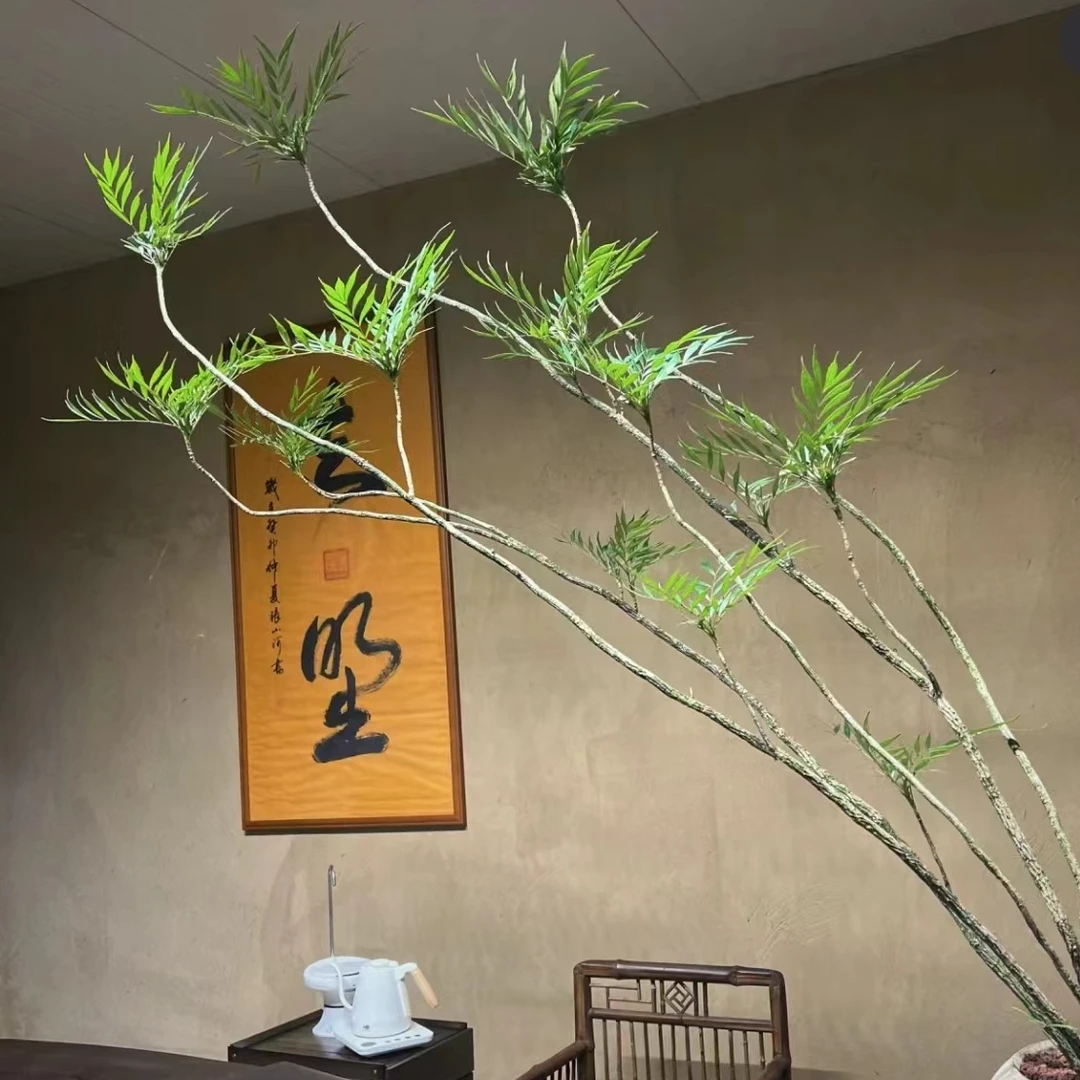 【一物一拍】十大功劳黄天竹室内盆栽卧室客厅露天阳台观叶盆栽植物