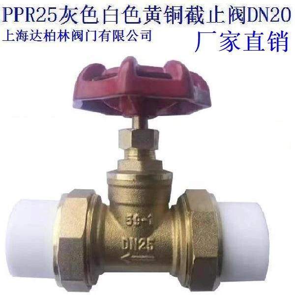 PPR双活接灰色白色黄铜截止阀DN15DN20DN25DN32DN40DN50