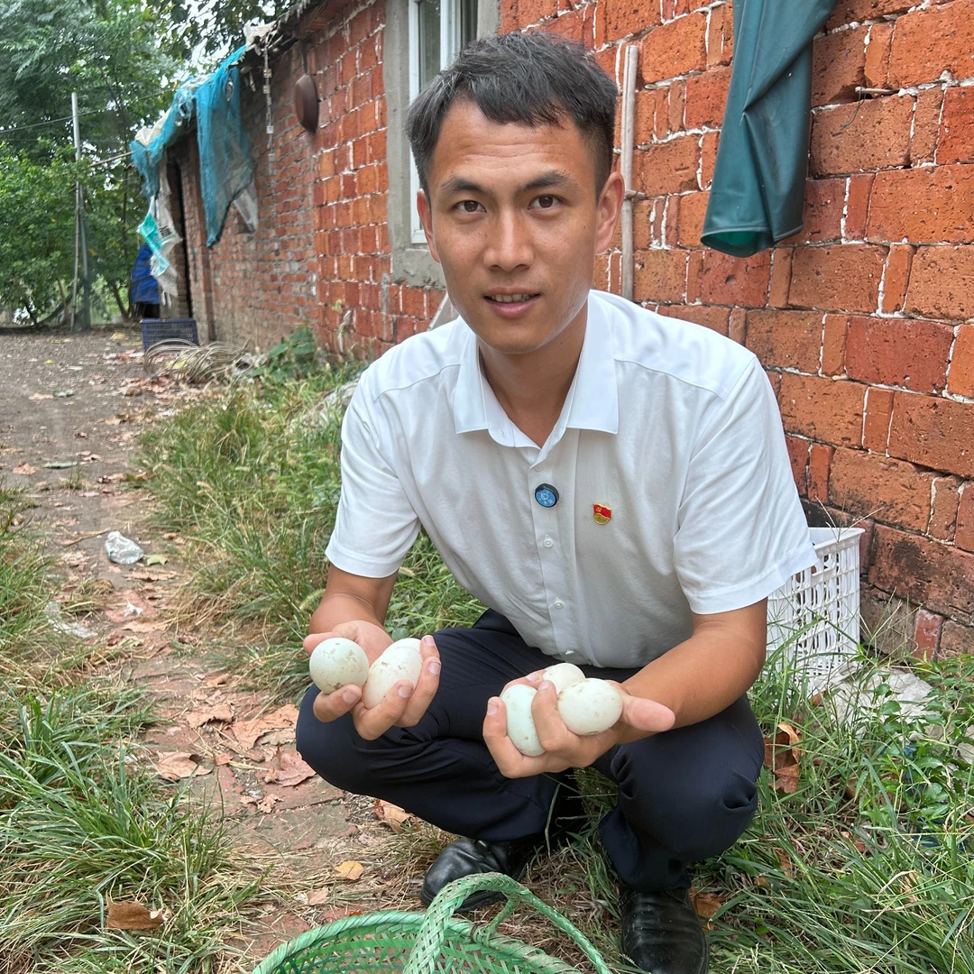 【起飞书记】农家土鸭蛋