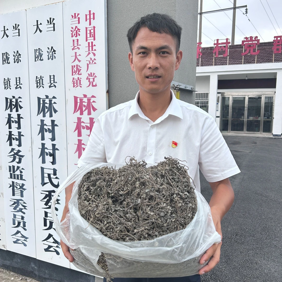 【起飞书记】农家自种马齿苋