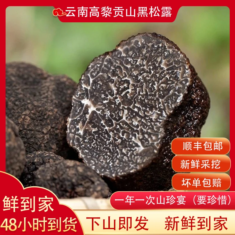 黑松露新鲜云南高黎贡山黑松露猪拱菌法国块菌西餐煲汤食材100g