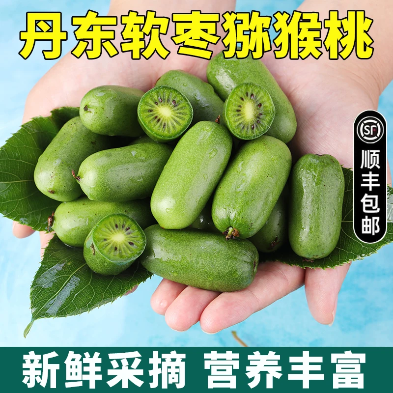 现货丹东软枣猕猴桃国产奇异莓奇异果1/2/3斤顺丰包邮新鲜猕猴桃