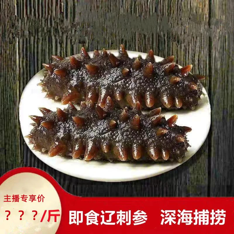 【宝悦堂】即食海参大连海参底播辽刺参海参500g/袋