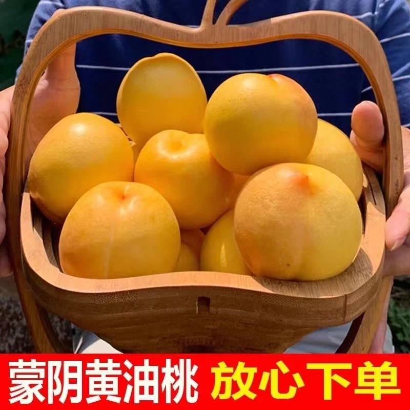 沂蒙山露天黄油桃脆甜多汁现摘现发新鲜3斤装4斤装