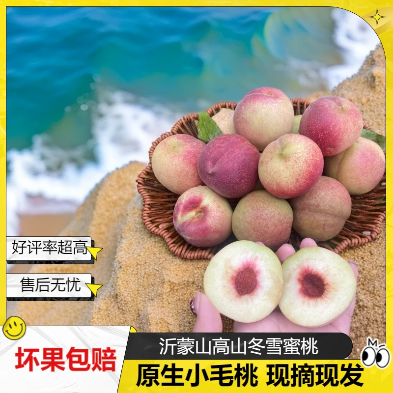 山东青州密冬桃雪桃蒙阴桃子毛桃脆甜桃现摘现发水蜜桃整箱包邮