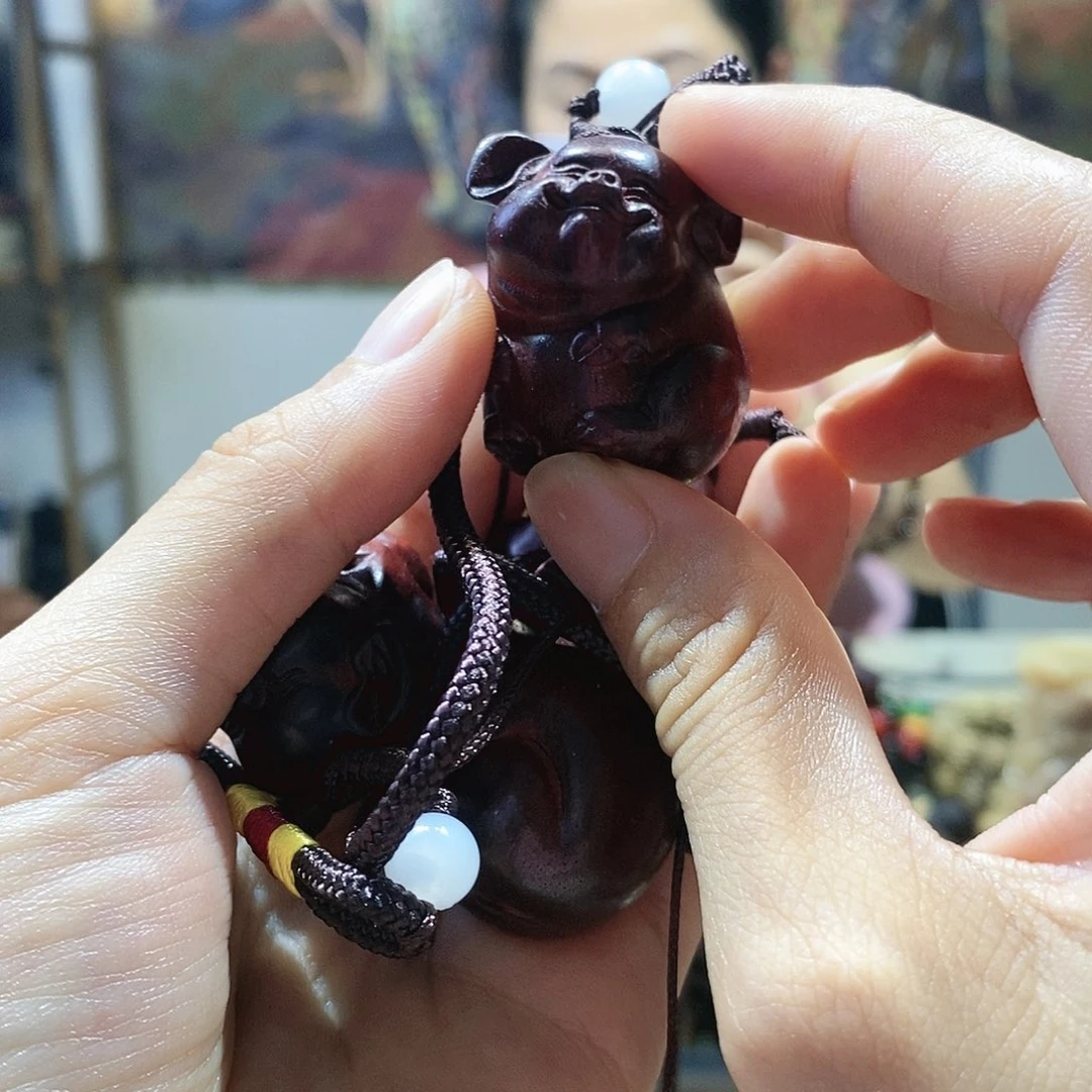 非洲紫檀（红花梨）主播推荐猪