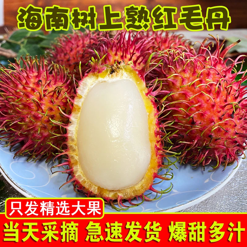 【顺丰】海南红毛丹现摘现发新鲜水果保亭毛荔枝孕妇当季甜肉厚包邮