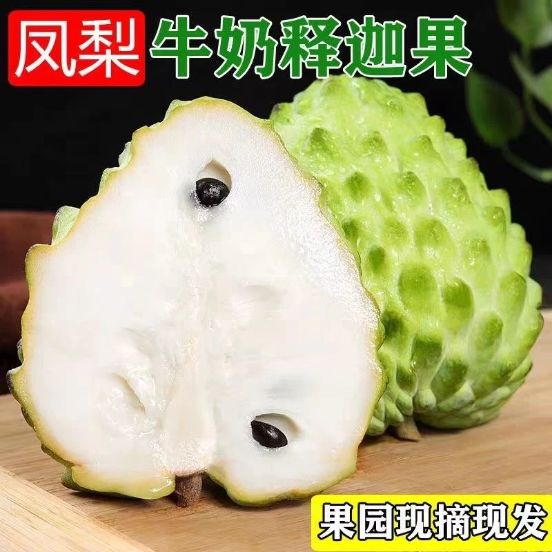 海南牛奶凤梨释迦果鲜甜多汁果肉嫩滑当季热带水果净重2-4斤包邮