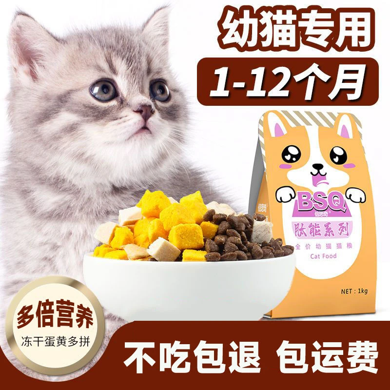 幼猫猫粮 1-4个月冻干小猫奶糕通用型高肉离乳期幼猫粮食