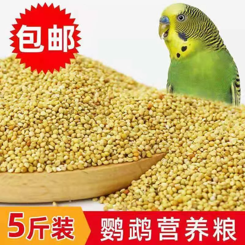 虎皮饲料鸟食玄凤谷子牡丹粮食文鸟带壳小米鸟粮优质易消化