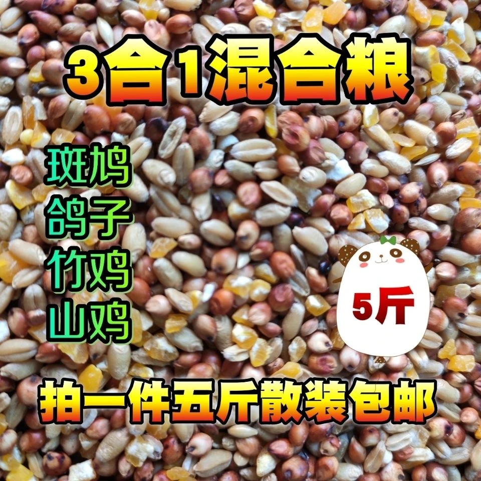 斑鸠粮食粮鸽粮食营养饲料鸟食信鸽观赏鸽赛鸽通用幼鸽成鸽粮