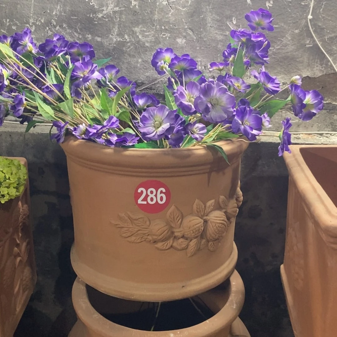 红陶20CM（含）-50CM（不含）