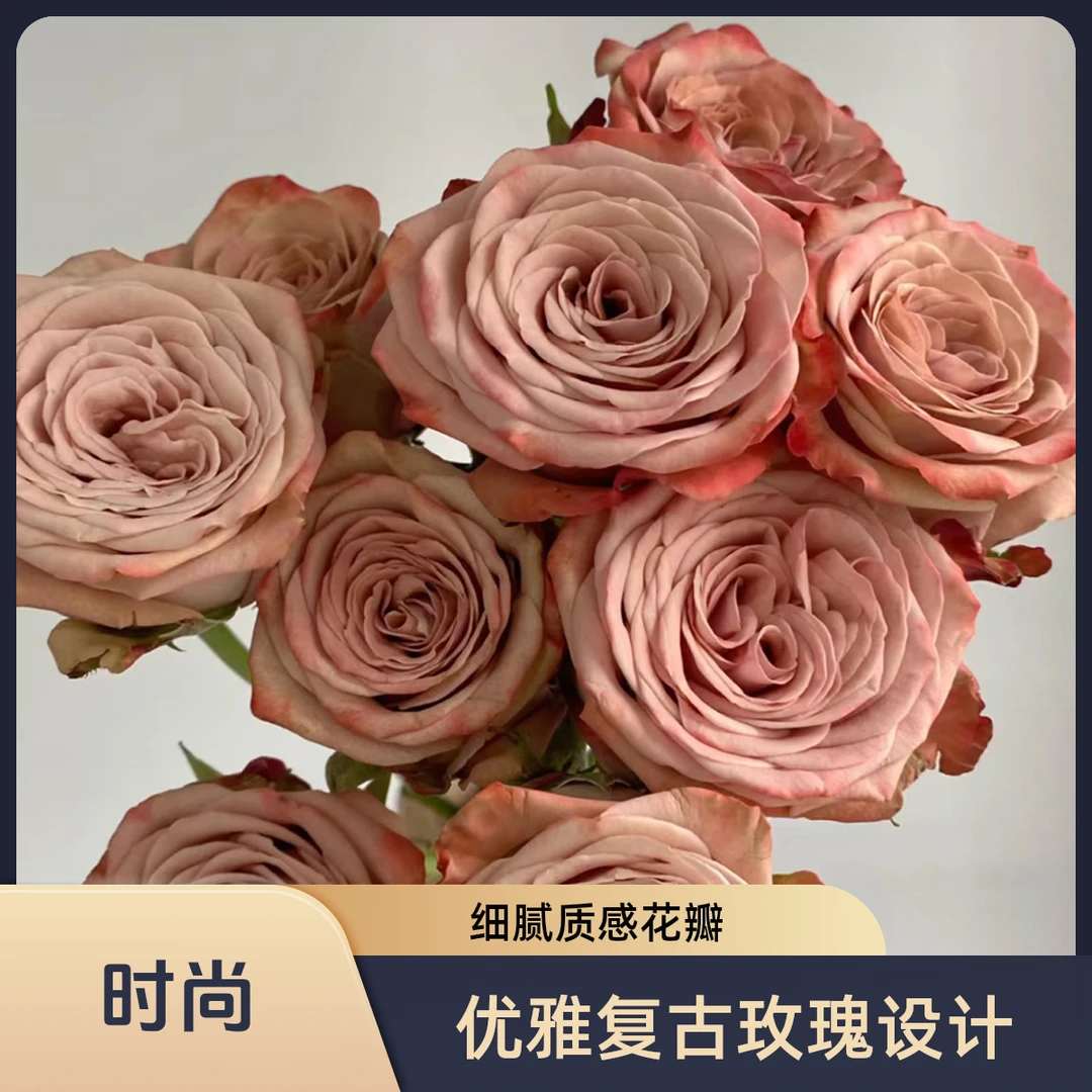 卡布奇诺玫瑰18支加2支报损