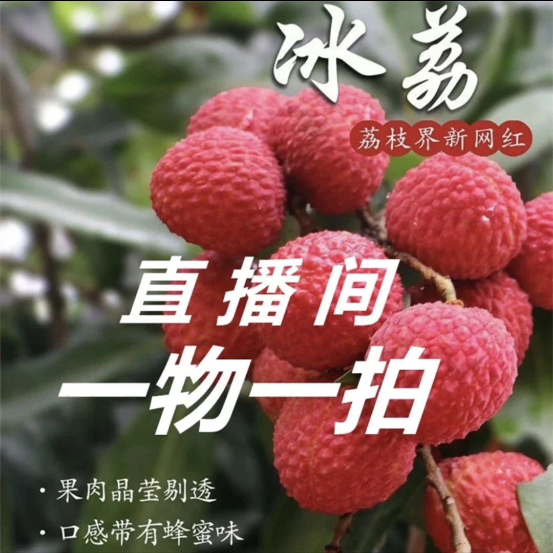 直播间一物一拍各种树苗