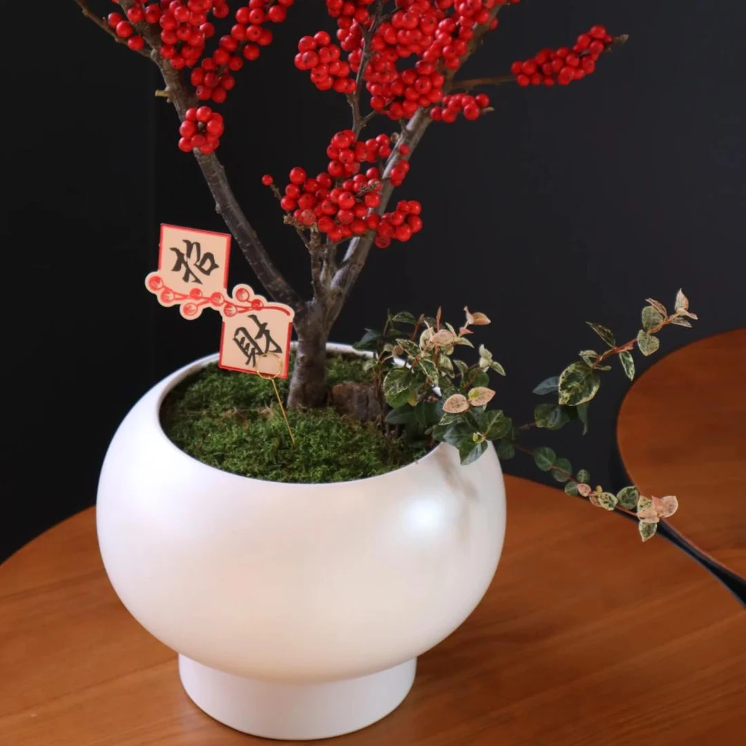 银柳冬青蝴蝶兰珍珠釉新年宵花福桶轻奢客厅插花花器盆栽盆景花盆