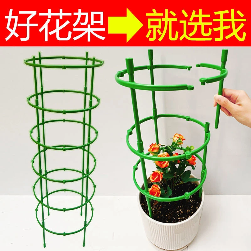 可新款倒伏支撑高低兰护花蟹爪太阳叶架防支架兰多肉拼接单层