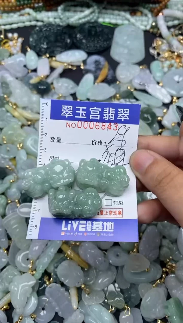 【闪购商品】翡翠颈饰未镶嵌0006843多样性发其一