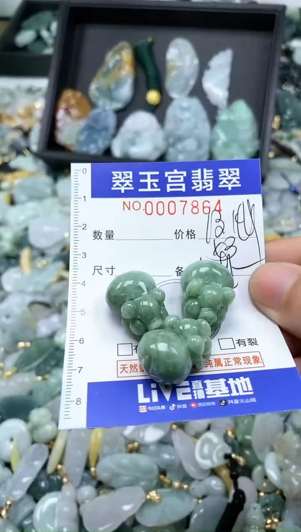 【闪购商品】翡翠颈饰未镶嵌0007864多样性发其一
