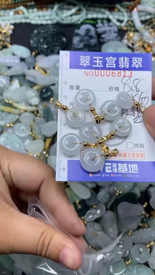 【闪购商品】翡翠颈饰未镶嵌0006813多样性发其一