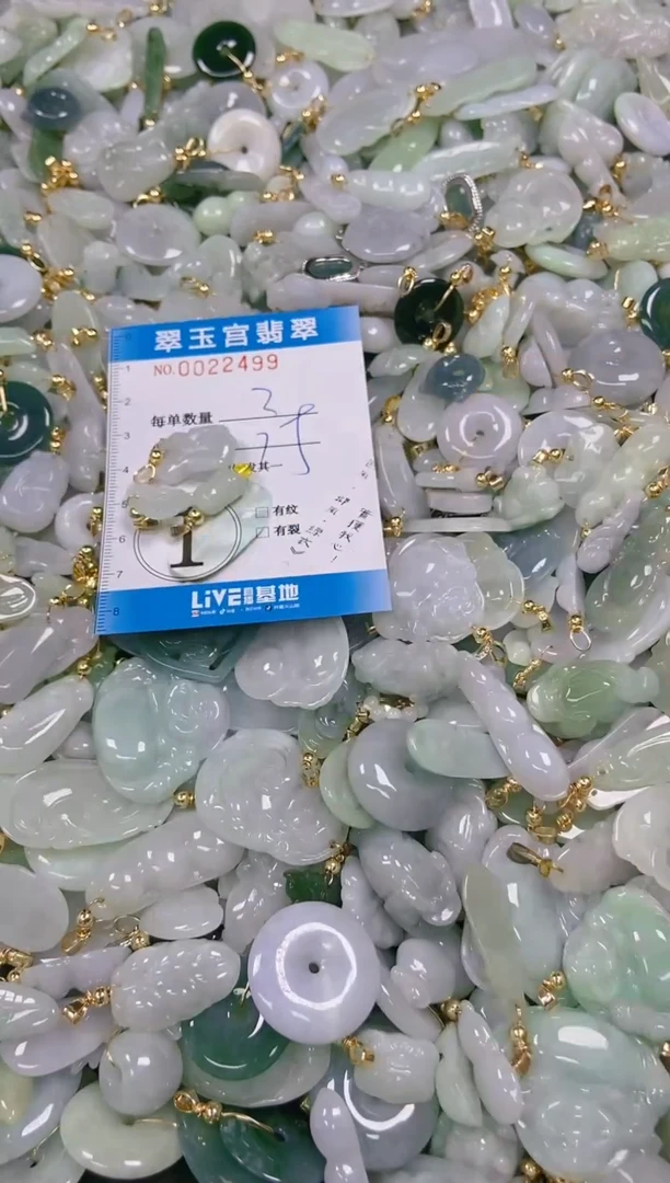 【闪购商品】翡翠颈饰未镶嵌闪购0022499