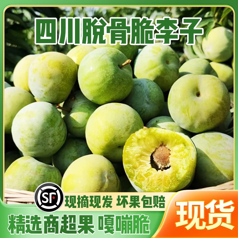 四川李子脱骨李青脆李脆甜新鲜多汁酸甜生态孕妇水果5斤净重产地