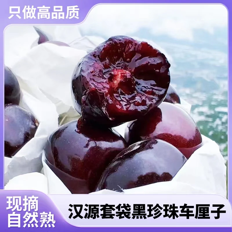 京东套袋黑珍珠产地直发新鲜国产车厘子好吃甜售后包赔肉厚多汁