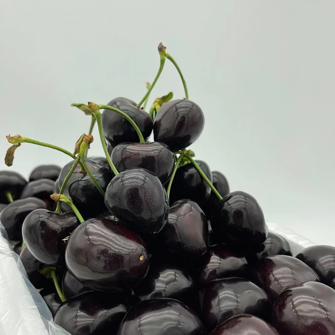 [顺丰空运]大连露天现摘俄罗斯八号大樱桃2.8-4.8斤