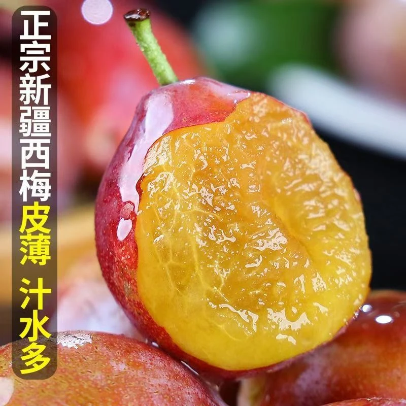 精选新疆西梅，净果约3.5斤，果粉足甜度高，新鲜多汁【顺丰包邮】