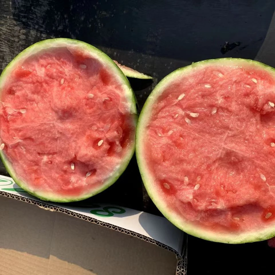 精选 无籽麒麟瓜，脆甜多汁满口爆汁5-8斤/个以上西瓜自然清甜成熟