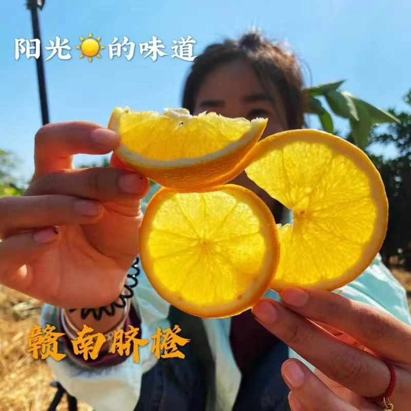 正宗赣南脐橙原产地特产现摘现发应季水果3斤5斤10江西赣南特产