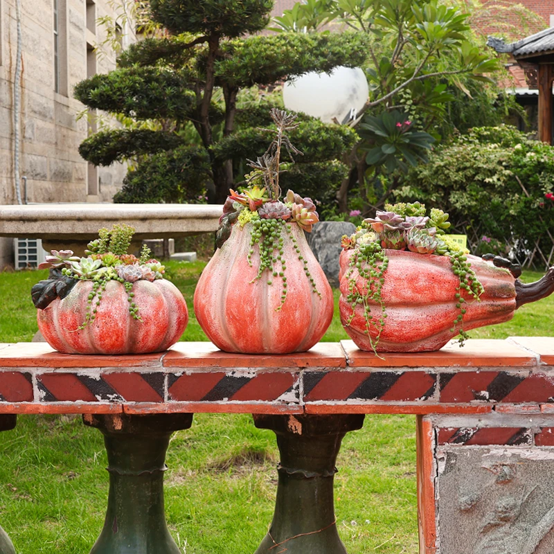 多肉植物组合盆栽创意南瓜花盆个性微景观阳台庭院室内礼品摆件