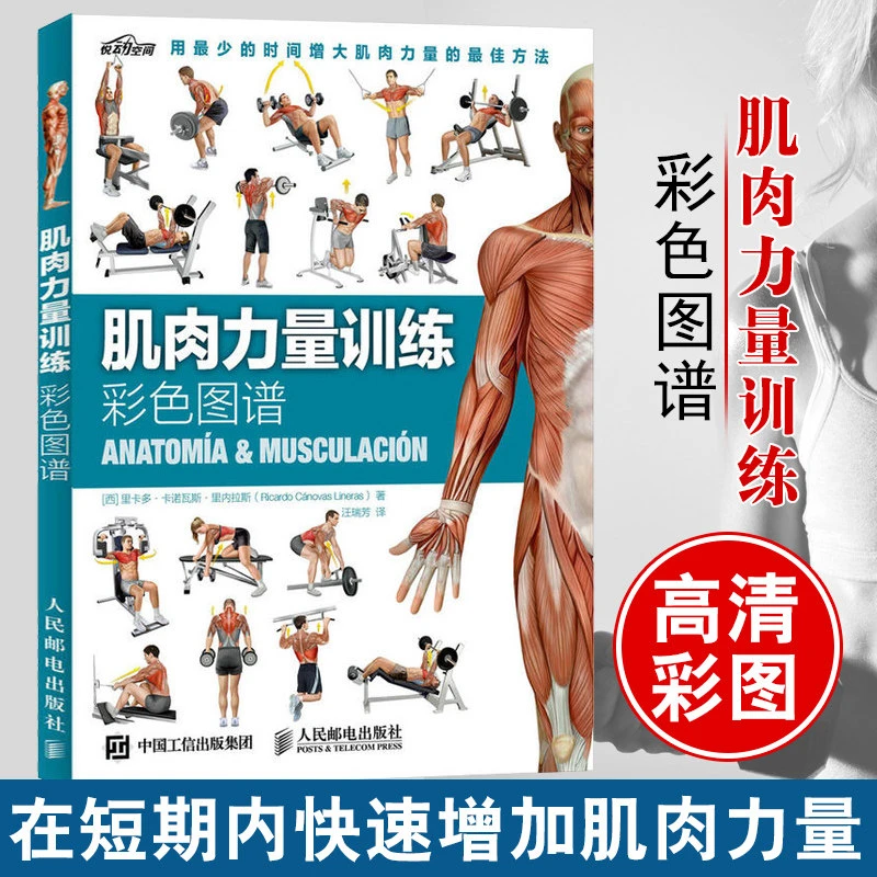 肌肉力量训练彩色图谱 运动健身房健身教练肌肉训练减脂增肌书籍