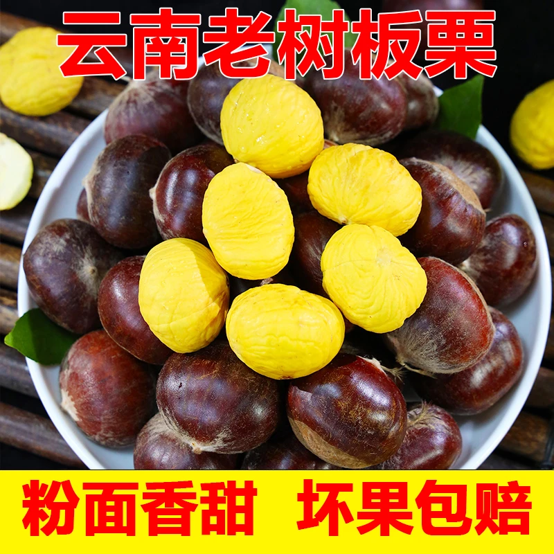 云南新鲜板栗好剥皮毛栗子高山红壳板栗2025年新栗子山栗子土板栗