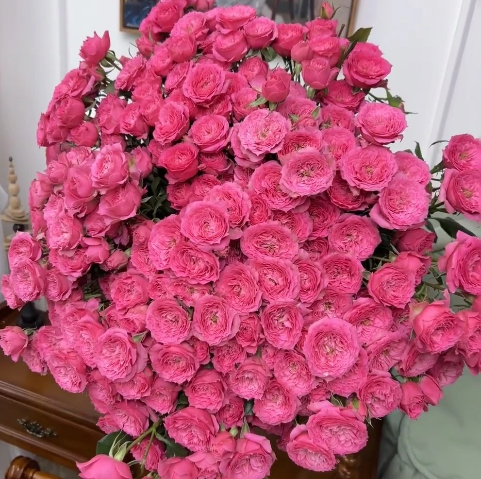 【花语轩优选】多头玫瑰苏菲宝贝 云南直发 日常养护插花摆放