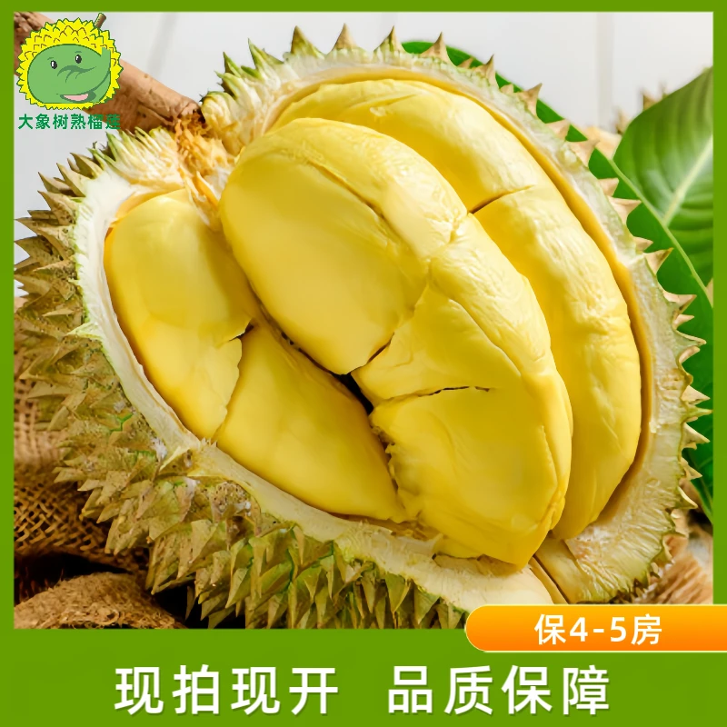 【宁波鼓楼】一果一拍2号 A级金枕榴莲 现拍现开 宁波小时达【大象树熟榴莲】榴莲同城配