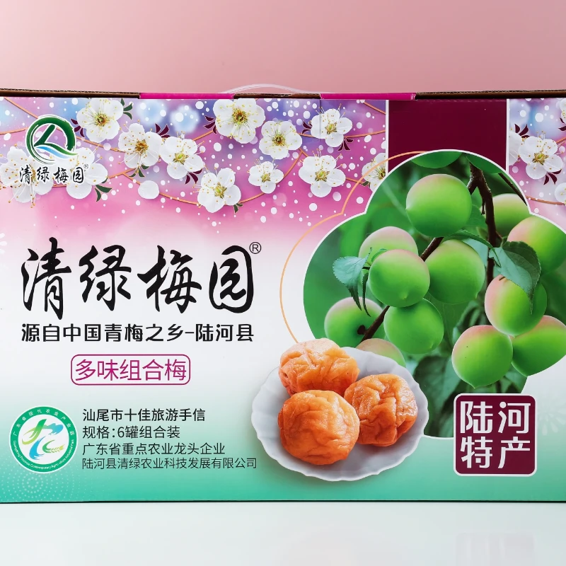清绿梅园多味组合梅话梅梅饼礼盒零食送礼陆河特产青梅梅片瓶装
