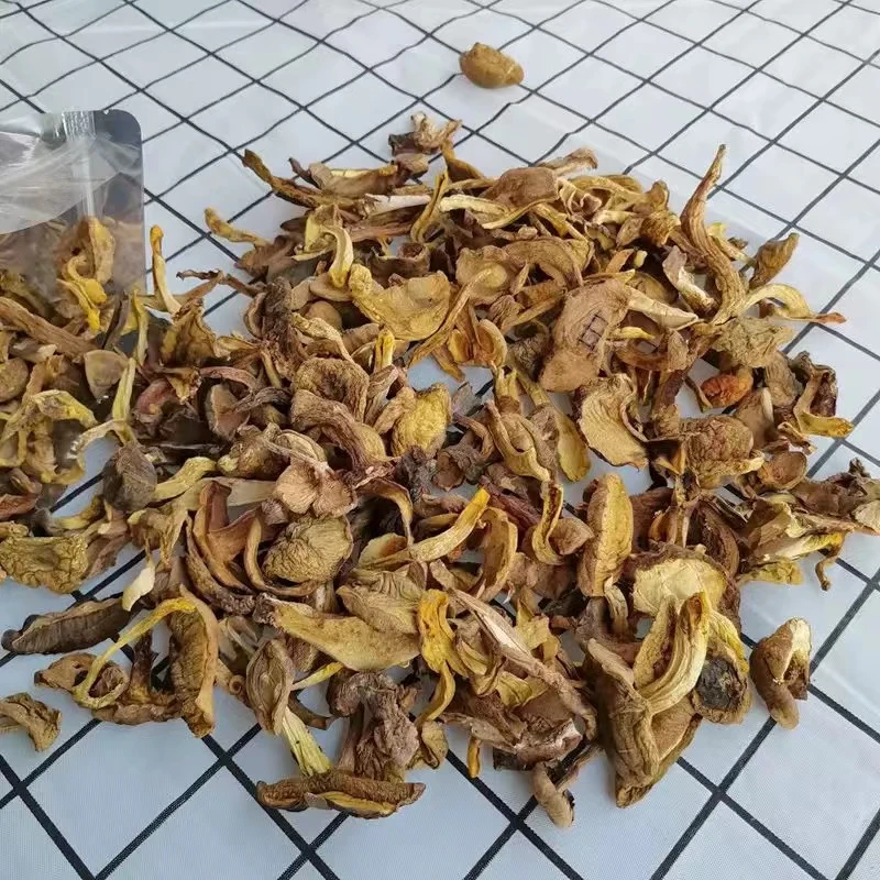 云南土特产山货：黄牛肝菌    小飞甄选