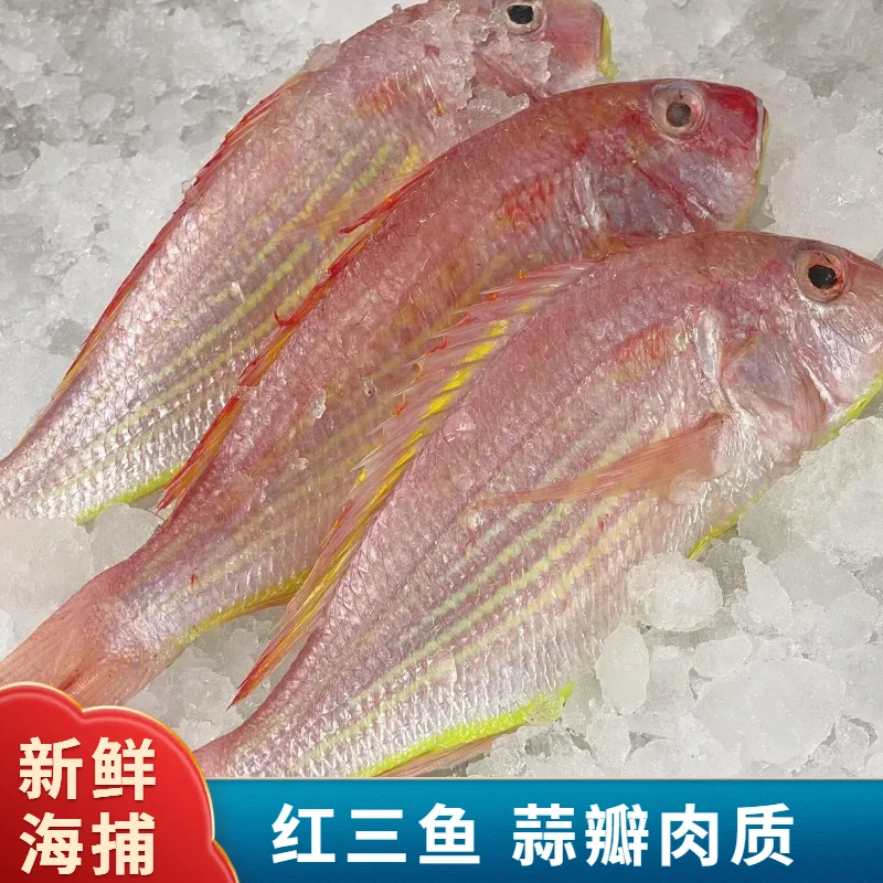 新鲜红三鱼红杉鱼5斤 原条速冻(不帮杀)  顺丰包邮