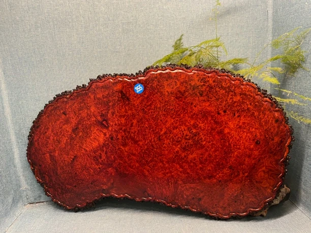 缅甸花梨干泡台茶具套装家用一杯一壶尺寸55*31*1.2