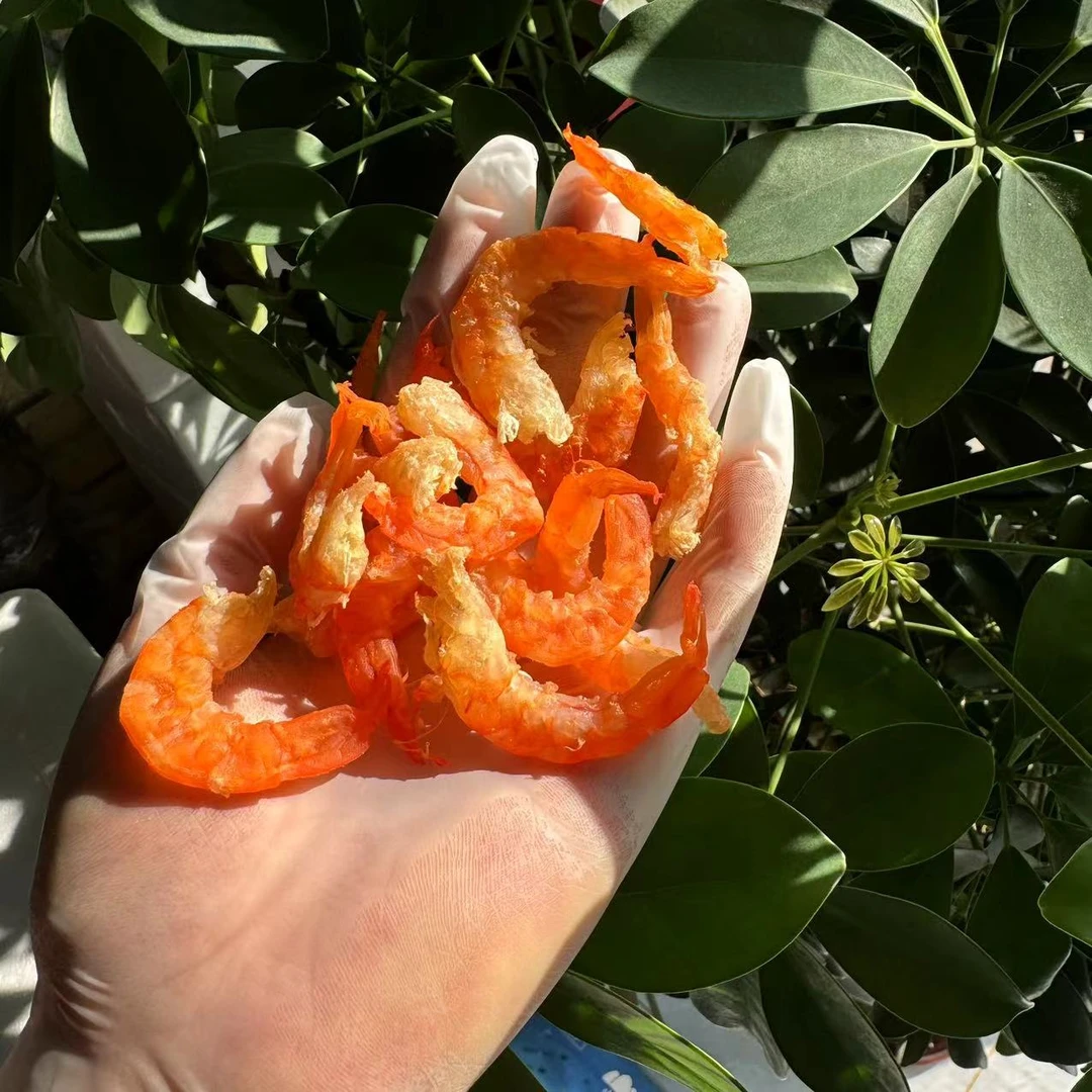 青岛特产海捕水晶特大虾米金钩海米即食干货
