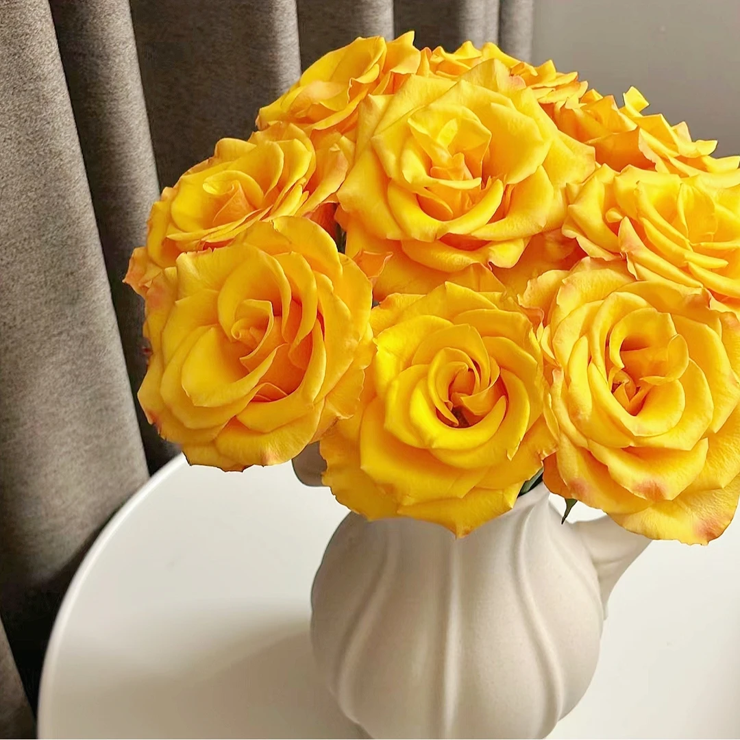 【辉煌】鲜切水养插花云南基地直发