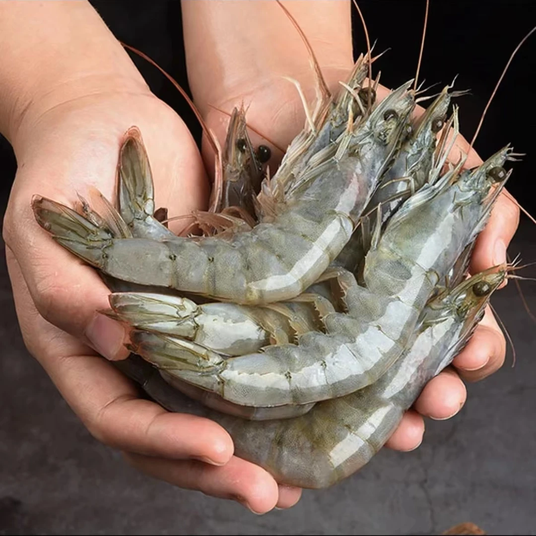 欢欢推荐 2030盐冻海虾带一层保护冰  4斤  16-18厘米  40-45只