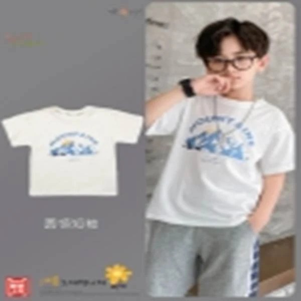 1208J032夏款男童T恤上衣8778