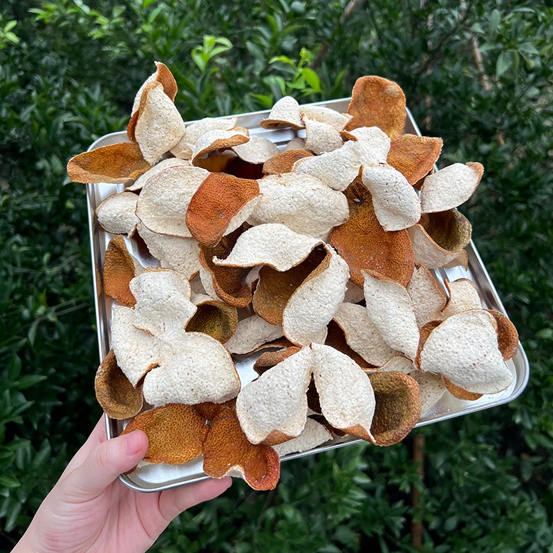 【24年新皮链接】梅江塞口围茶坑