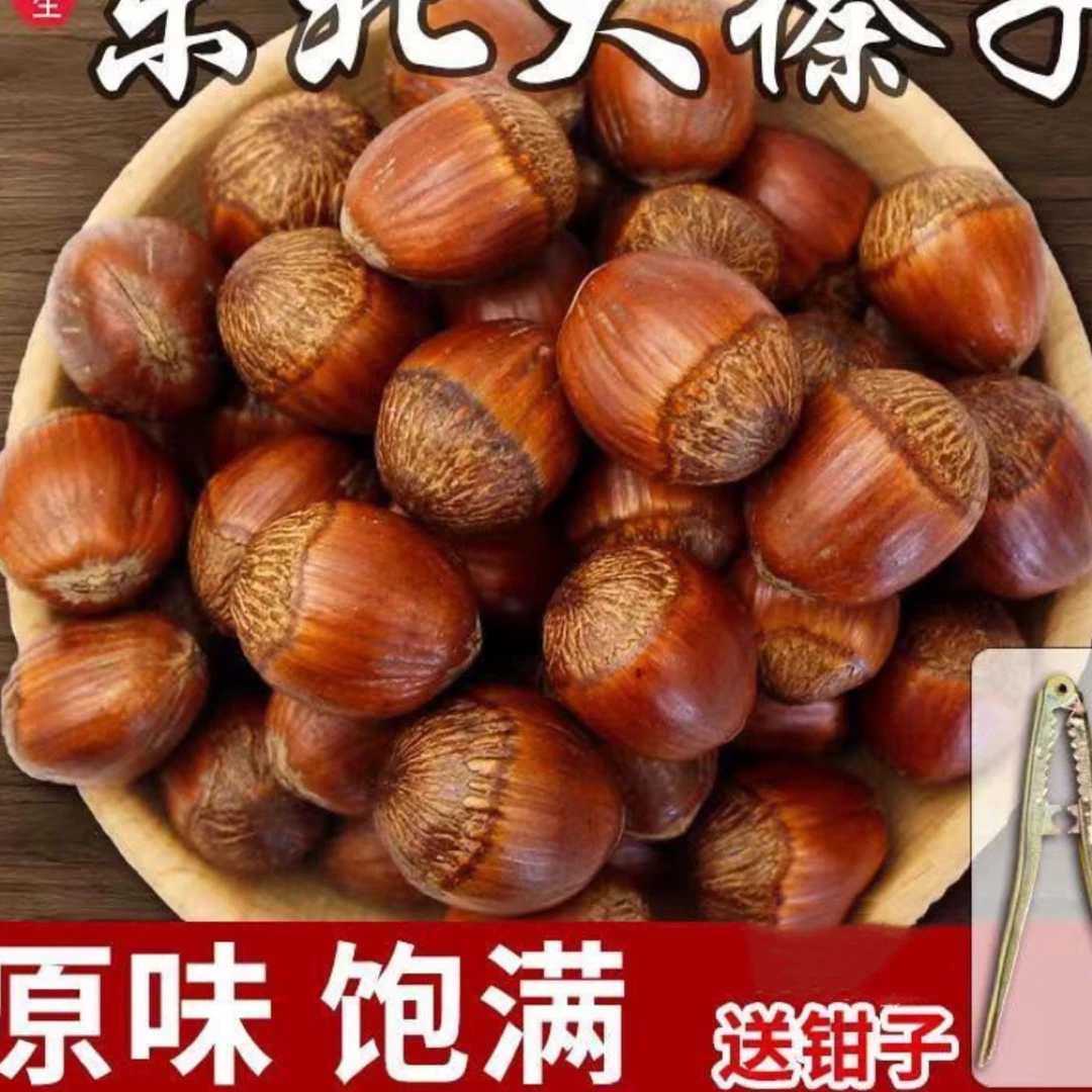 【蹄哥专属】东北大榛子熟(送夹子)