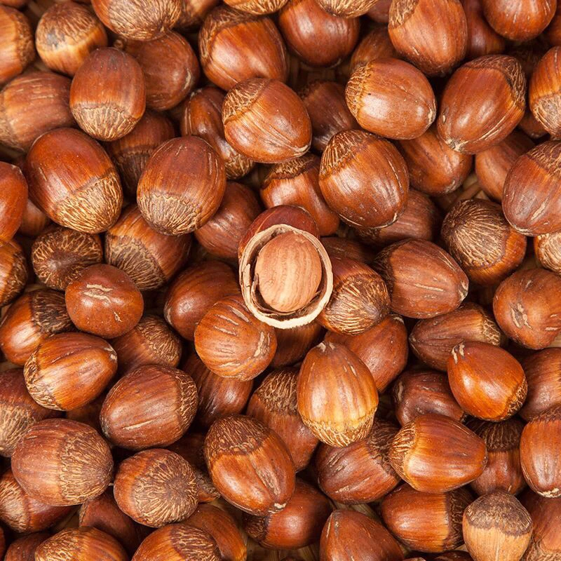 (胖嘟嘟专属)东北大榛子熟(送红桶夹)