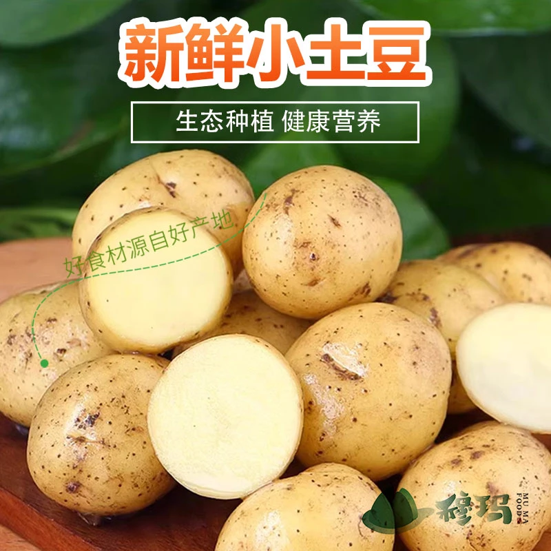 恩施马尔科小土豆新鲜本地种植美味绿色营养清香食用黄心